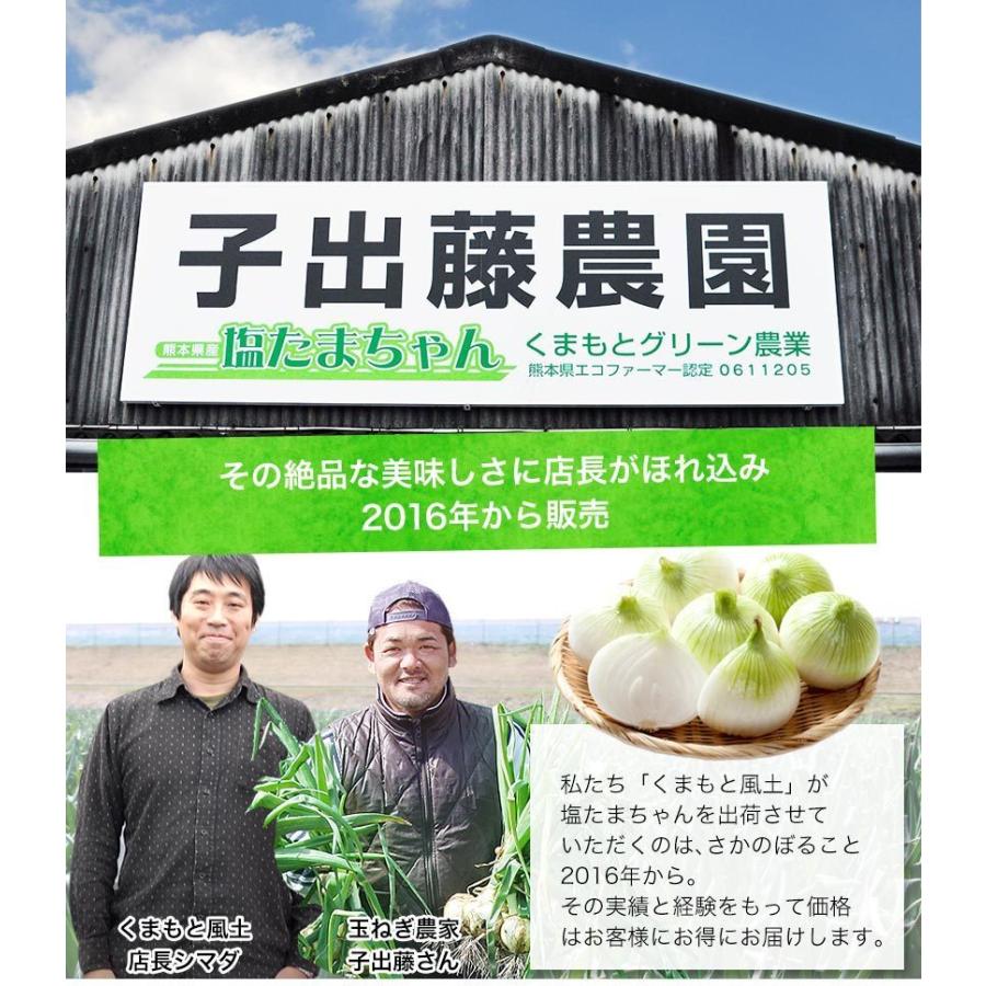 塩たまちゃん 送料無料 3kg 熊本県産 子出藤さん の 塩タマネギ 新たまねぎ 塩玉ちゃん 野菜 玉ねぎ 6月中旬 6月下旬頃より発送予定 Shiotama 1 くまもと風土 ヤフー店 通販 Yahoo ショッピング