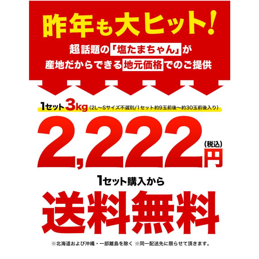 月末セール 塩たまちゃん 送料無料 3kg 熊本県産 子出藤さん の 塩タマネギ 新たまねぎ 塩玉ちゃん 5月中旬 6月上旬頃より順次出荷 Shiotama 1 くまもと風土 ヤフー店 通販 Yahoo ショッピング