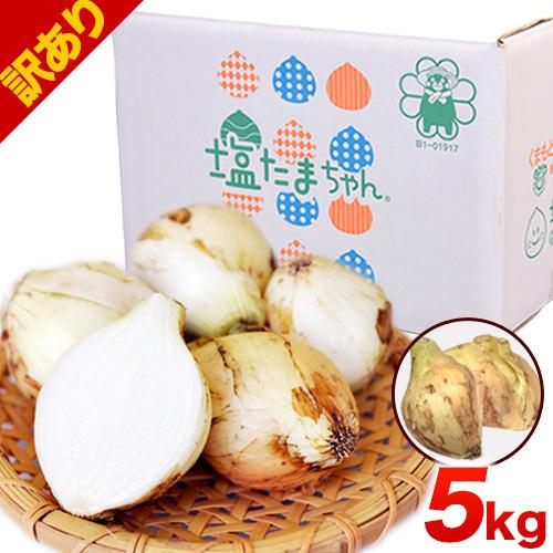 塩たまちゃん 5kg 送料無料 定番スタイル 子出藤 ねでふじ さん の 熊本県産 新玉ねぎ 訳あり 1セット 塩玉ねぎ 5月中旬 6月上旬頃より順次出荷 5l 2sサイズ不選別