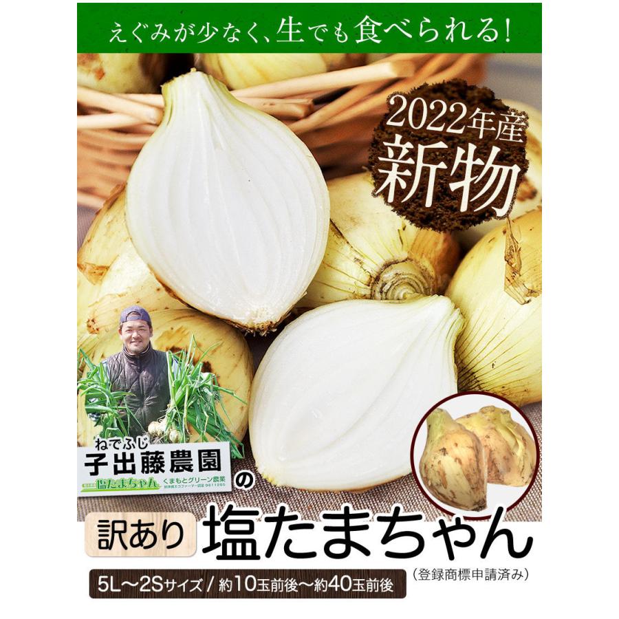 塩たまちゃん 5kg 送料無料 定番スタイル 子出藤 ねでふじ さん の 熊本県産 新玉ねぎ 訳あり 1セット 塩玉ねぎ 5月中旬 6月上旬頃より順次出荷 5l 2sサイズ不選別