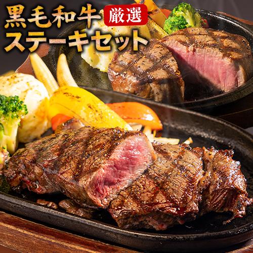 サ—ロイン&ヒレステーキ 食品サンプル 2点セット 黒毛和牛 ステーキ サーロイン ヒレ 2枚 セット 450g 送料無料 九州産