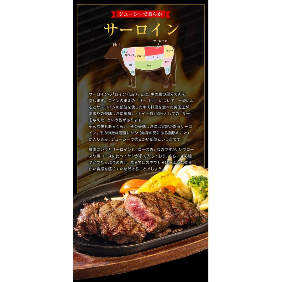 黒毛和牛 ステーキ サーロイン ヒレ 2枚 セット 450g 送料無料 九州産