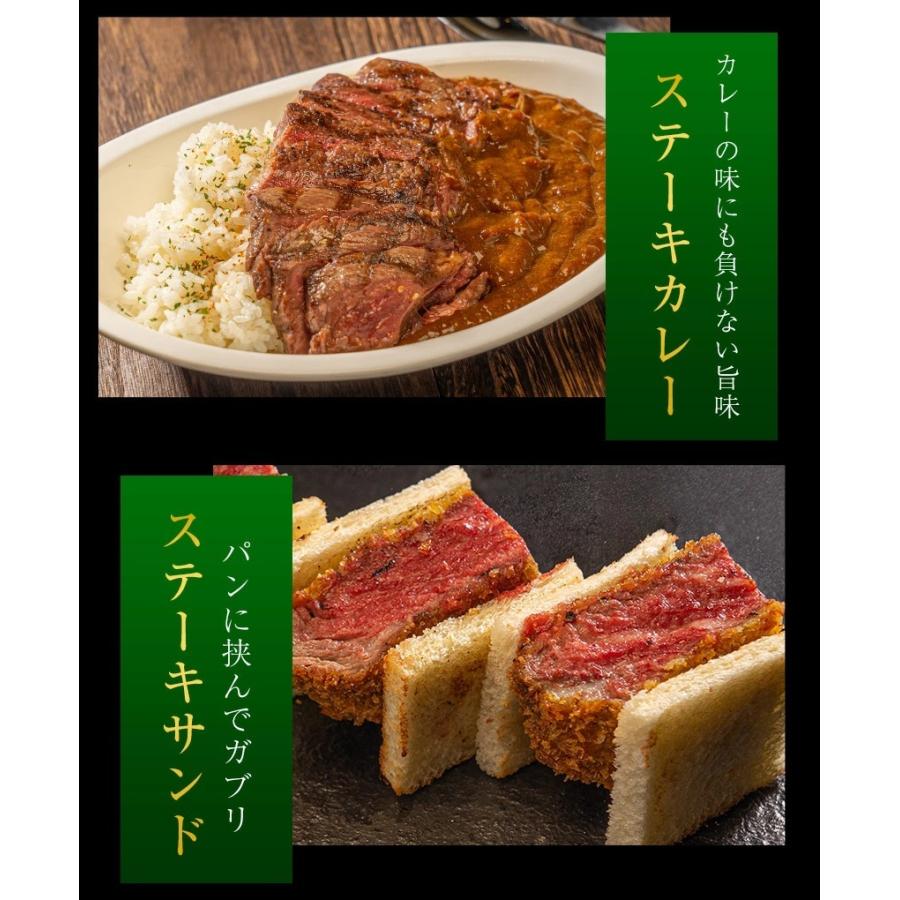 黒毛和牛 ステーキ サーロイン ヒレ 2枚 セット 450g 送料無料 九州産