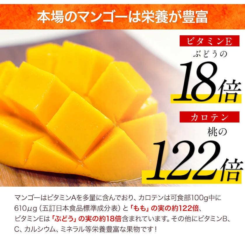 宮崎県産 完熟 マンゴー 1玉 (2Lサイズ: 約350g〜約449g) 送料無料 健康 ギフト お取り寄せ 7月中旬-8月上旬頃より発送予定｜kumamotofood｜09