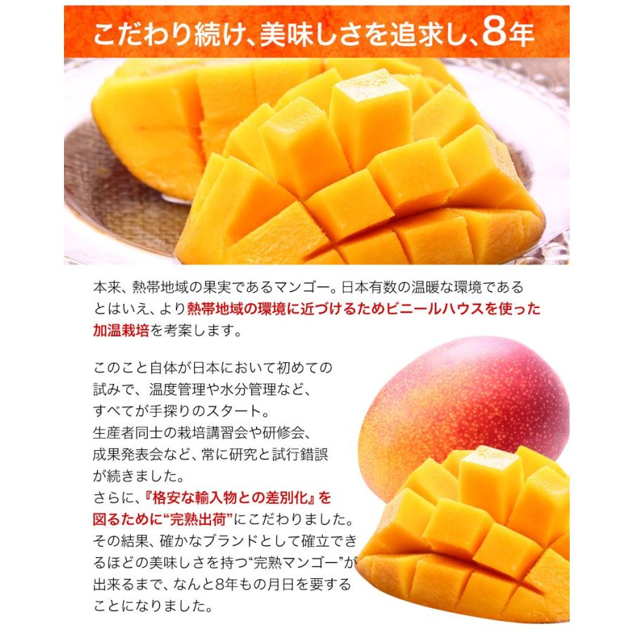 マンゴー 秀品 太陽のタマゴ 宮崎県産 送料無料 ギフト フルーツ 2lサイズ 1玉約350g 約499g 食べ物 6月下旬 7月上旬頃より発送予定 Taiyomango 01 くまもと風土 ヤフー店 通販 Yahoo ショッピング