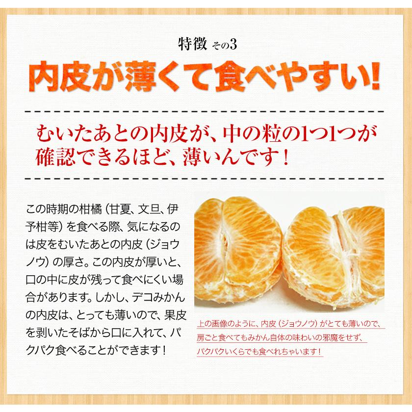ちょっと 訳あり デコみかん 1.5kg デコポン 不知火 と同品種 熊本県産