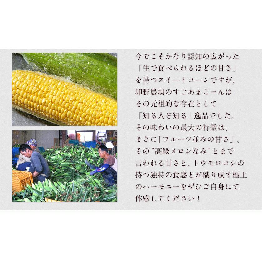 とうもろこし 送料無料 すごあまこーん 野菜 フルーツコーン トウモロコシ 品種 7本 3l L 約2 1kg 2 4kg 7月中旬 8月下旬頃より発送予定 Unocorn 2 くまもと風土 ヤフー店 通販 Yahoo ショッピング