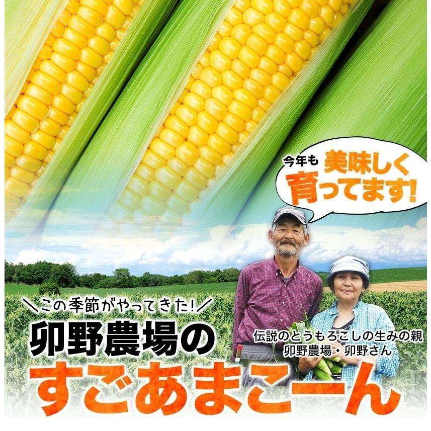 2セットで1000円offクーポン 幻の甘すぎるとうもろこし とうもろこし すごあまこーん 6本 3l L 約1 8kg 約2 1kg 送料無料 7月中旬 8月上旬頃出荷 Unocorn 2 くまもと風土 ヤフー店 通販 Yahoo ショッピング