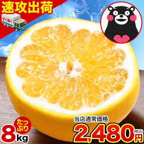 大容量8kg 河内晩柑 訳あり みかん 和製 グレープフルーツ 8kg 送料無料  晩柑 ジューシーみかん 熊本県産 10kg 以下 爆買 1-5営業日以内に発送(土日祝除)|（Yahoo!・ご当地風土 ヤフー店）