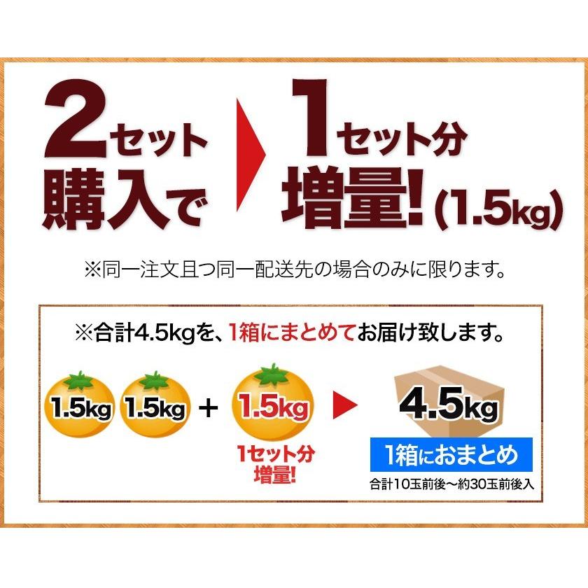 甘夏 みかん 1.5kg 送料無料 訳あり 熊本県産 名産地 旬 の みかん 訳ありみかん みかん箱買い 3-7業日以内に出荷(土日祝除)｜kumamotofood｜07