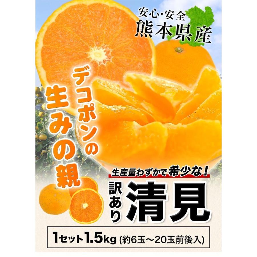 訳あり 清見 1.5kg 約6〜約20玉前後入 送料無料 熊本産 旬 みかん