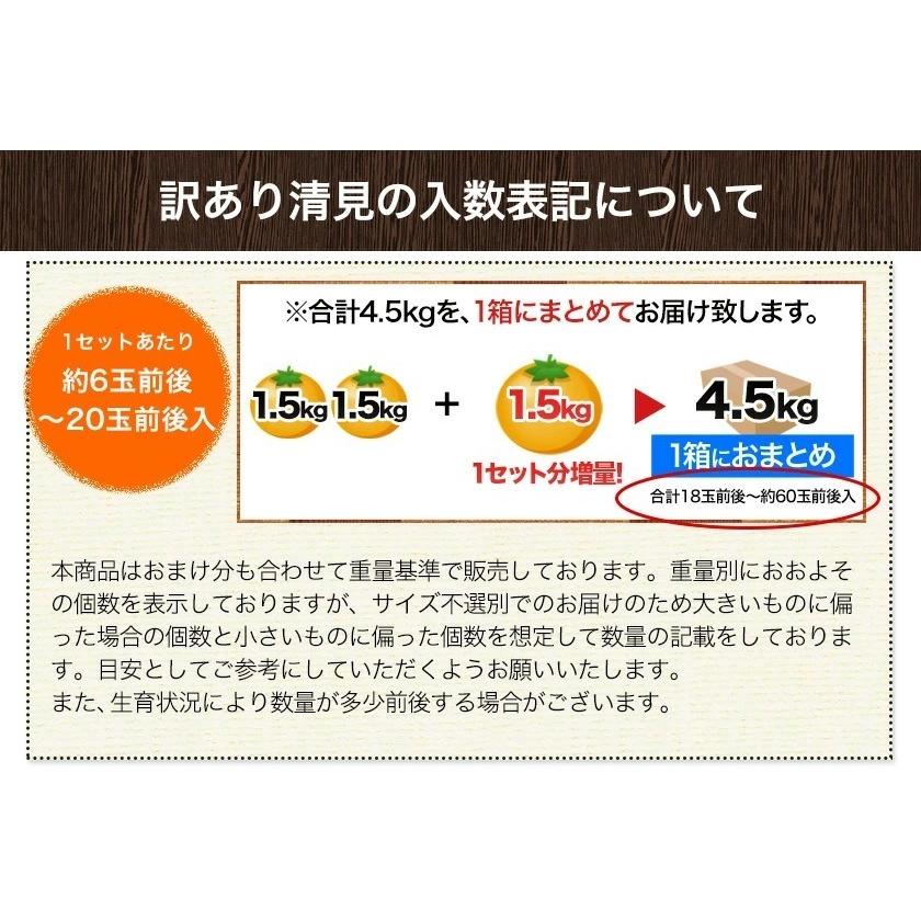 訳あり 清見 1.5kg 約6〜約20玉前後入 送料無料 熊本産 旬 みかん