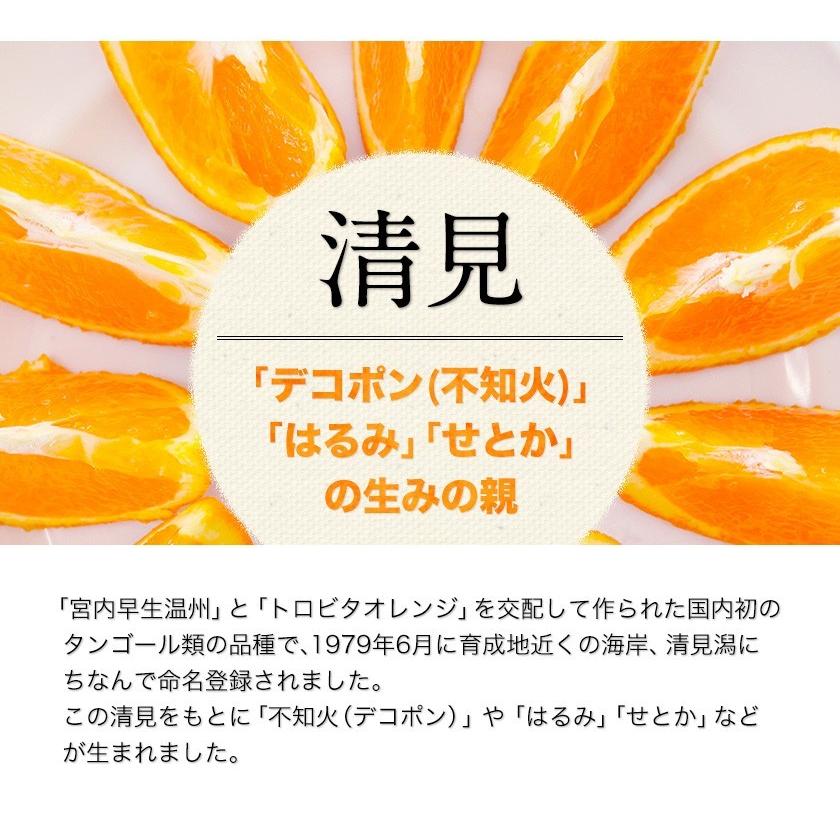 訳あり 清見 1.5kg 約6〜約20玉前後入 送料無料 熊本産 旬 みかん