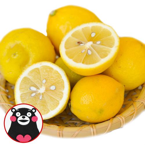 レモン 最大64％オフ！ 94％以上節約 送料無料 国産レモン 訳あり 1.5kg 熊本県産 サイズ不選別 7-14営業日以内に出荷 れもん 檸檬 果物 フルーツ 土日祝除く