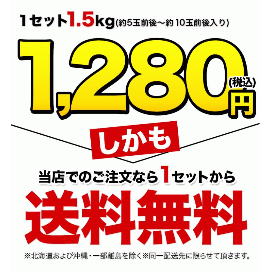 オレンジ ネーブル 解禁記念クーポン有 送料無料 1 5kg 訳あり 熊本県産 旬 みかん 果物 2セットで1セット分増 7 14営業日以内出荷 土日祝除く Wnavel 4 くまもと風土 ヤフー店 通販 Yahoo ショッピング