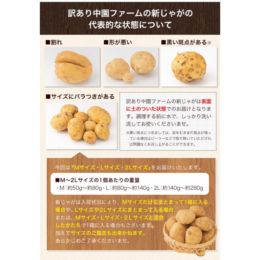 新発売の じゃがいも 訳あり 中園ファーム 新じゃが 馬鈴薯 1 5kg M 2lサイズ混合 送料無料 種子島産 ジャガイモ 芋 野菜 7 14営業日以内に出荷予定 土日祝日除く Wantannas Go Id