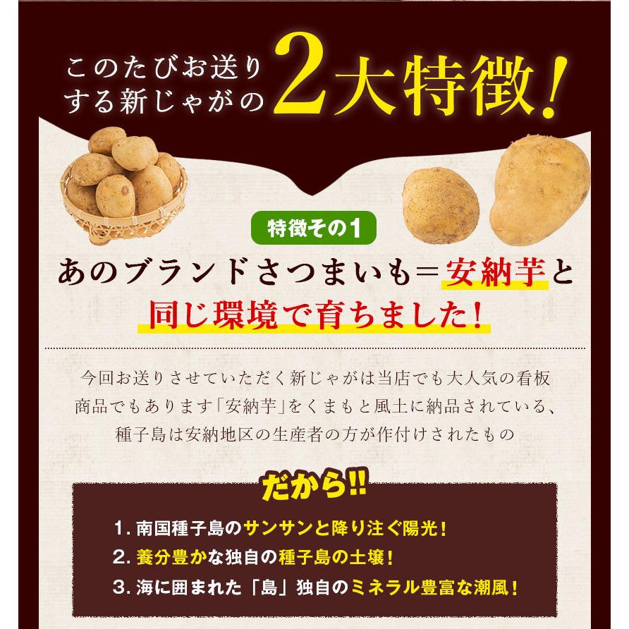 新発売の じゃがいも 訳あり 中園ファーム 新じゃが 馬鈴薯 1 5kg M 2lサイズ混合 送料無料 種子島産 ジャガイモ 芋 野菜 7 14営業日以内に出荷予定 土日祝日除く Wantannas Go Id