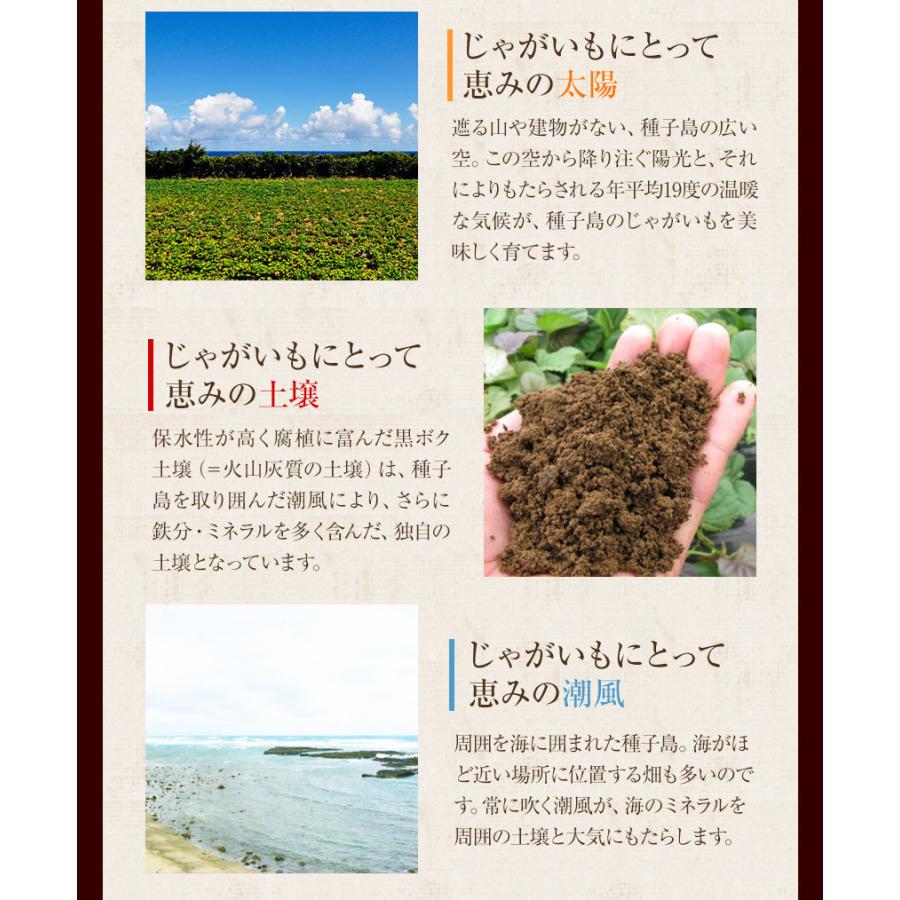 新発売の じゃがいも 訳あり 中園ファーム 新じゃが 馬鈴薯 1 5kg M 2lサイズ混合 送料無料 種子島産 ジャガイモ 芋 野菜 7 14営業日以内に出荷予定 土日祝日除く Wantannas Go Id