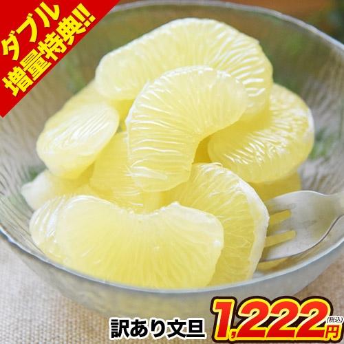 文旦 送料無料 熊本県産 1.5kg 訳あり パール柑 セレブ柑  旬 みかん  箱買い 爆買 1-5営業日以内に発送予定(土日祝除く)（Yahoo!・ご当地風土 ヤフー店）
