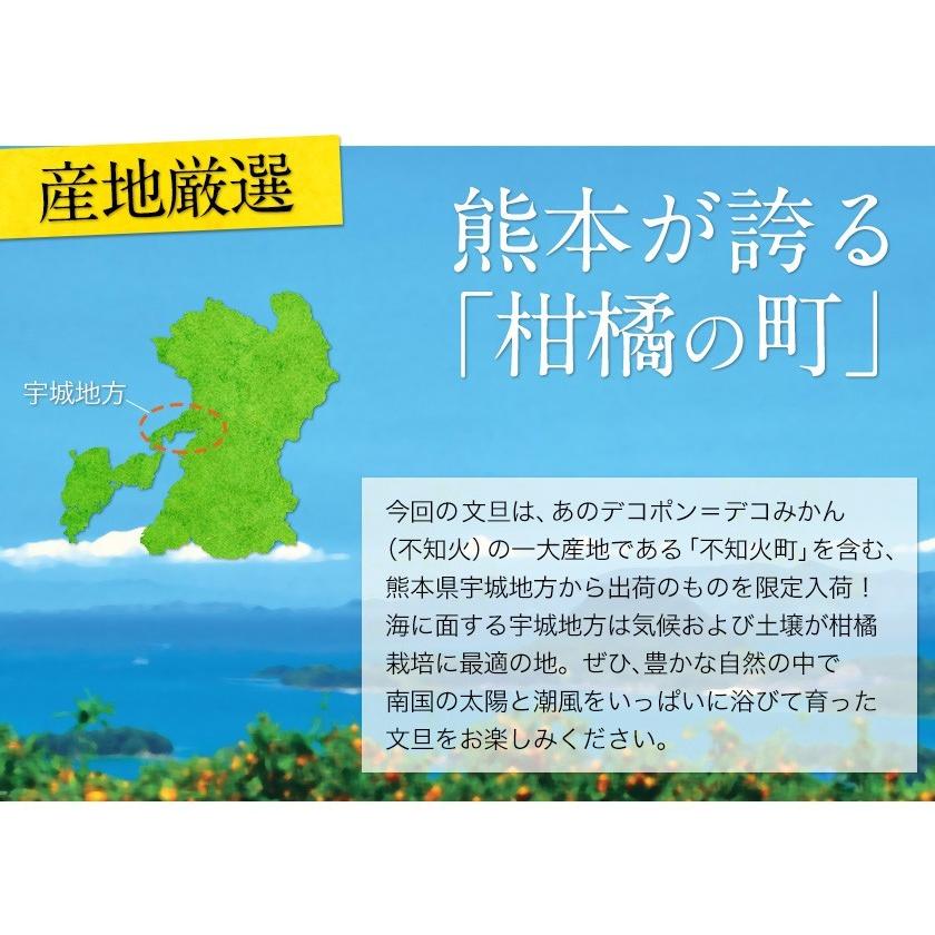 今なら100円off 文旦 送料無料 2セット購入で 1セット増量 熊本県産 1 5kg 訳あり パール柑 セレブ柑 旬 みかん 箱買い 7 14営業日以内に出荷予定 土日祝除く Wpearl 3 くまもと風土 ヤフー店 通販 Yahoo ショッピング