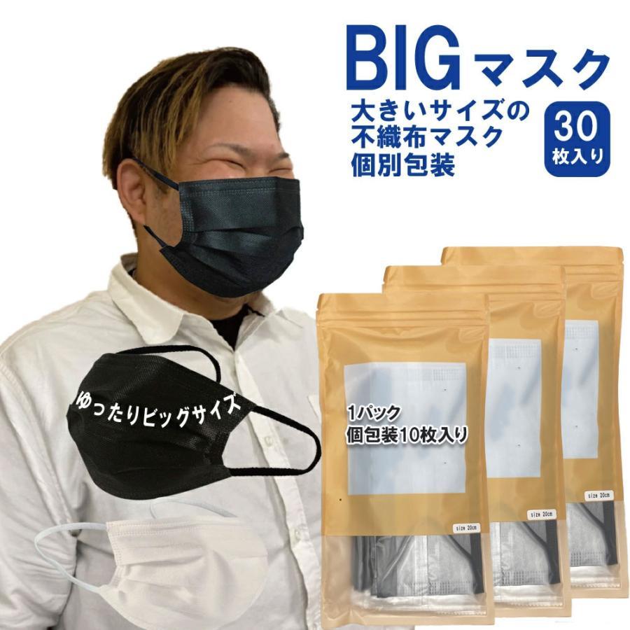 大きいサイズの不織布マスク 2Lサイズ 個別包装 快適な立体マスク3層
