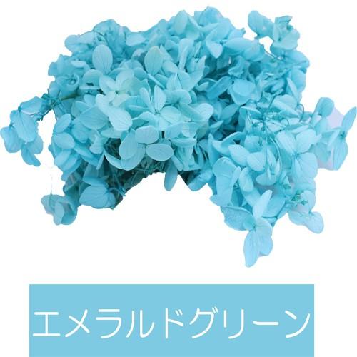 プリザーブドフラワー アジサイ 紫陽花 ヘッド ｇ 全16色から選べる フラワーショップアイズ Ajisai Head くまもと工房 通販 Yahoo ショッピング