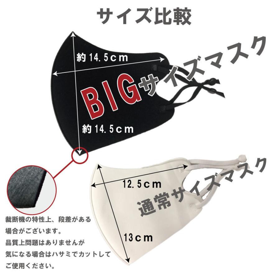 マスク 秋冬用 洗える 特大サイズ 2L 厚手生地 4枚入り 2セット目割引