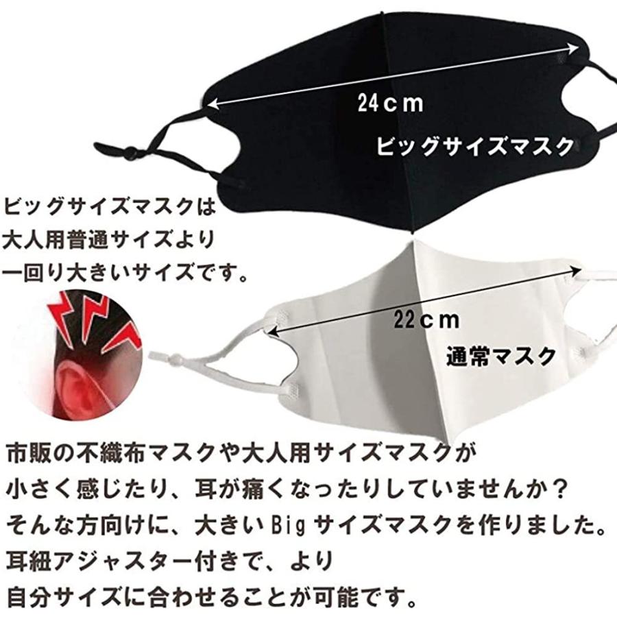 冷感マスク 夏用 大きなマスク 洗えるマスク 接触冷感 5枚セット 2