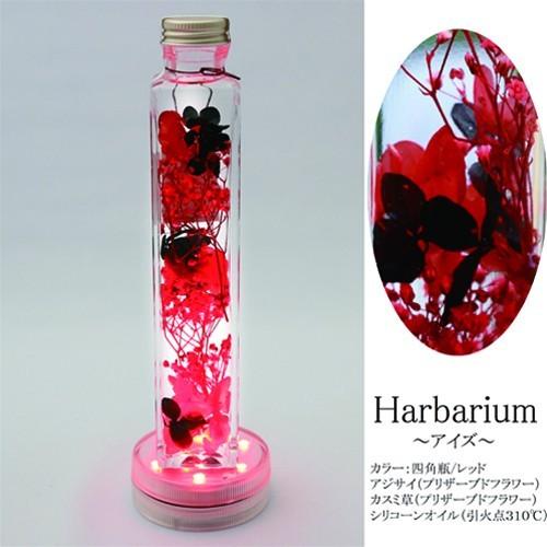光るハーバリウム 母の日 ギフト 送料 ギフトバッグ 無料 Herbarium  