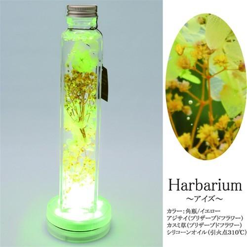 光るハーバリウム 母の日 ギフト 送料 ギフトバッグ 無料 Herbarium