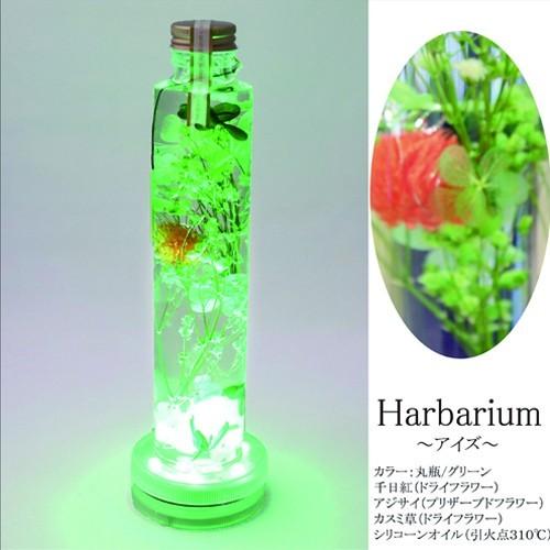 光るハーバリウム 母の日 ギフト 送料 ギフトバッグ 無料 Herbarium