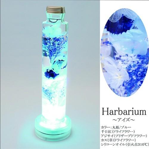 光るハーバリウム 母の日 ギフト 送料 ギフトバッグ 無料 Herbarium