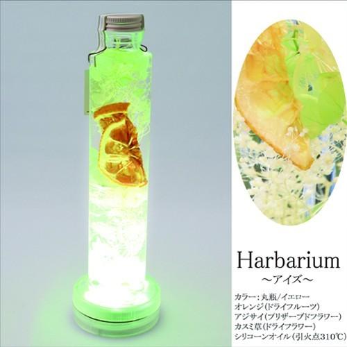 光るハーバリウム 母の日 ギフト 送料 ギフトバッグ 無料 Herbarium