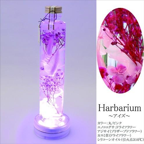 光るハーバリウム 母の日 ギフト 送料 ギフトバッグ 無料 Herbarium