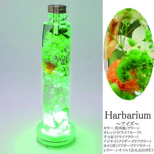 光るハーバリウム 母の日 ギフト 送料 ギフトバッグ 無料 Herbarium