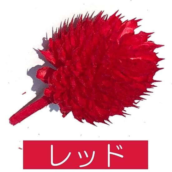 ドライフラワー 花材 材料 千日紅 センニチコウ せんにちこう ハー
