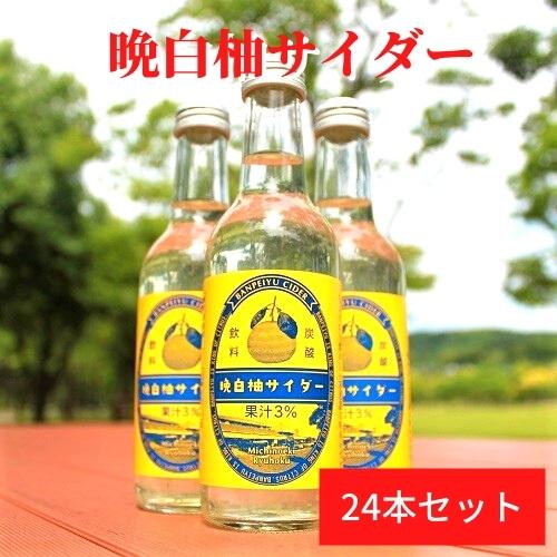 送料無料 クーポン利用で500円off 晩白柚サイダー 24本入り 熊本の地サイダー Ky07 005 くまもと県南ふぅーど市場 通販 Yahoo ショッピング