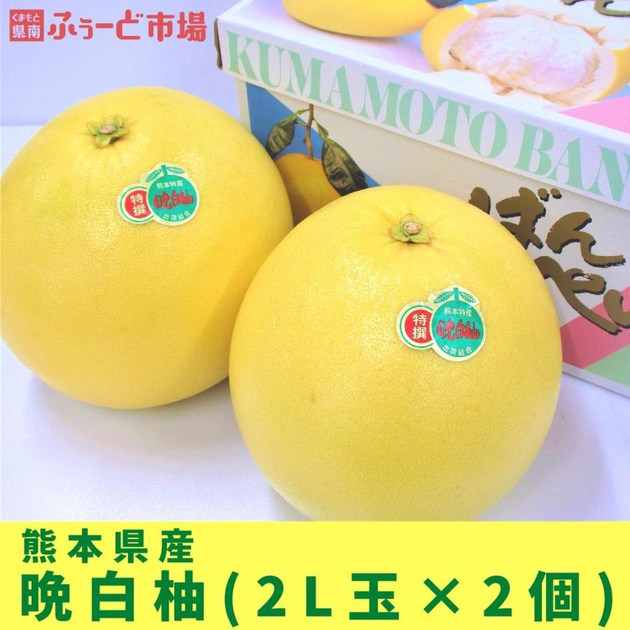 ストアクーポン利用で4 400円 熊本県産 最高の品質 初回限定 2L×2個 晩白柚