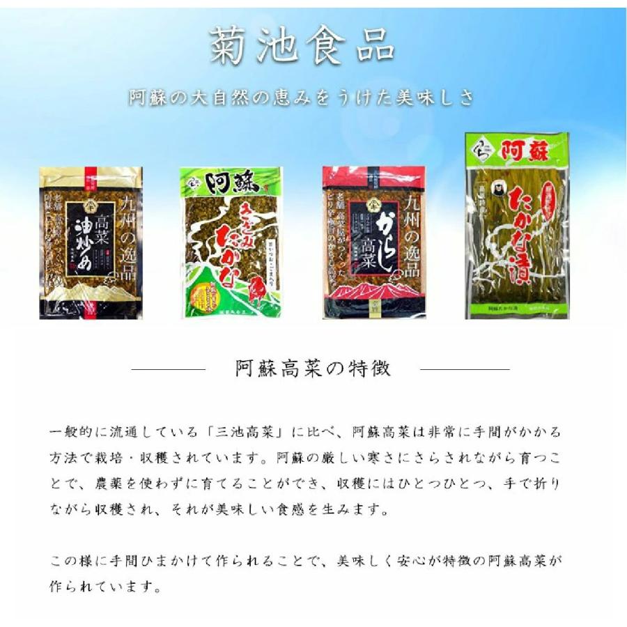 阿蘇高菜漬け　からし高菜　250ｇ　伝統の製法にこだわり続ける阿蘇の老舗たかな菊池食品　たかな漬け　お土産　ご当地　ご飯のお供　九州産高菜使用｜kumamototokuhann｜06