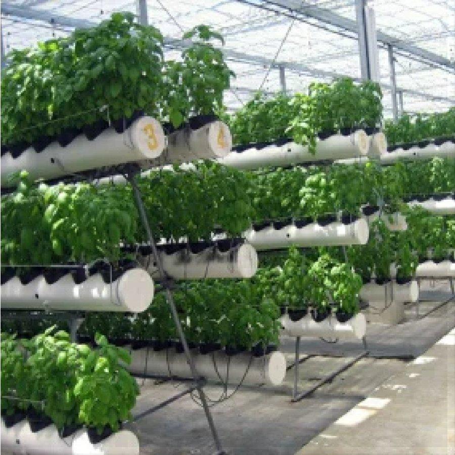 無農薬バジル 阿蘇バジルペースト100g 8個セット 800g 阿蘇健康農園 熊本 お土産 ご当地 イタリア料理 ピザ パスタ トーストなどにも|kumamototokuhann|03