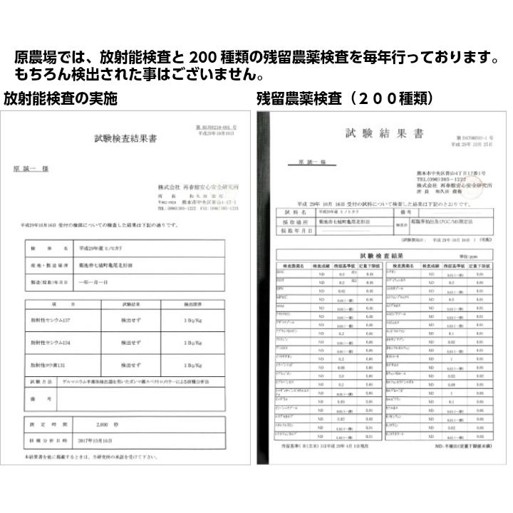 雑穀米 有機JAS 送料無 国産 無農薬 原農場の雑穀米 無化学肥料栽培 雑穀畑300ｇ 原さん 熊本産 黒米 赤米 緑米(もち玄米に変更あり) 押麦 発芽玄米 もち麦｜kumamototokuhann｜16