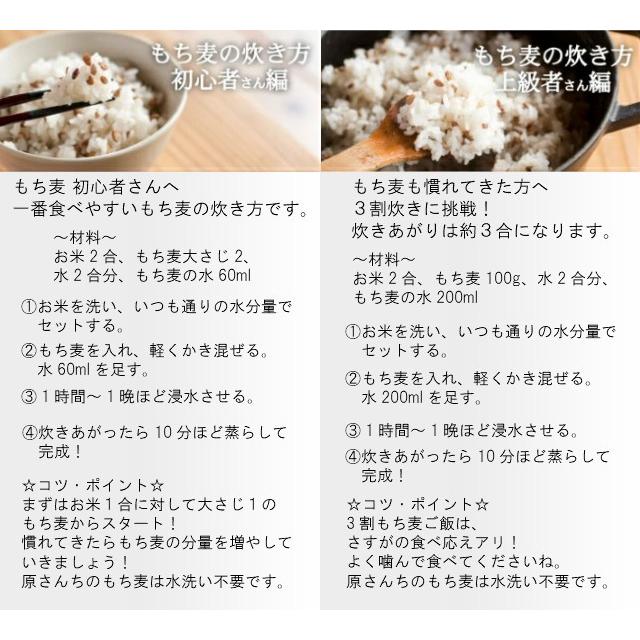 もち麦 有機JAS 国産 無農薬 原さんのもち麦500ｇ 完全無農薬 化学肥料不使用のもち麦 原農場 100％熊本県産 無化学肥料 有機栽培 送料無料 国産 メール便｜kumamototokuhann｜11