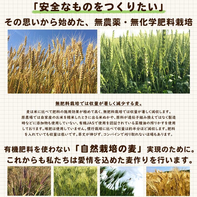 完全無農薬 無化学肥料栽培の玄米粉 原農場の玄米粉800ｇ（400ｇ×2袋）有機JAS 無農薬・化学肥料不使用 熊本県産 国産 玄米粉 米粉 メール便 ヒノヒカリ玄米｜kumamototokuhann｜03