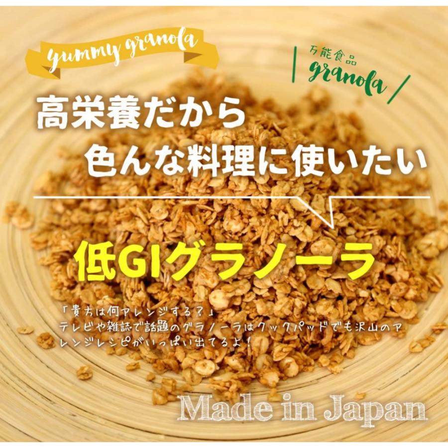 西田精麦 12袋セット 西田精麦 九州大麦グラノーラ 黒豆きなこ 西田精麦 12袋セット 西田精麦 九州大麦グラノーラ 黒豆きなこ