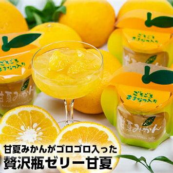 夢工房くまの 贅沢 みかんゼリー 甘夏みかん ごろごろゼリー 120g×6個