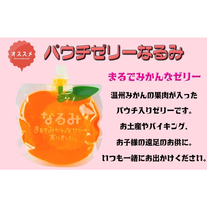 夢工房くまの みかんゼリー なるみ 温州みかん パウチゼリー 160g 8個