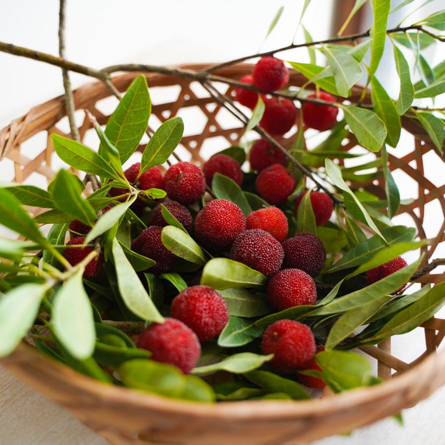 贈り物に　国産 ヤマモモ使用　熊野山桃シロップ  235g×3本　幻のフルーツ　お祝いやギフトに　 |  | 03