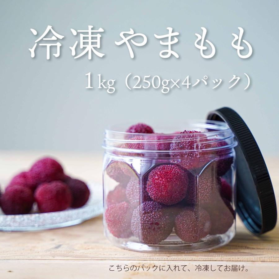 話題の人気 冷凍 国産 フルーツ やまもも 1kg stories.tecmundo.com.br 話題の人気 冷凍 国産 フルーツ やまもも 1kg stories.tecmundo.com.br