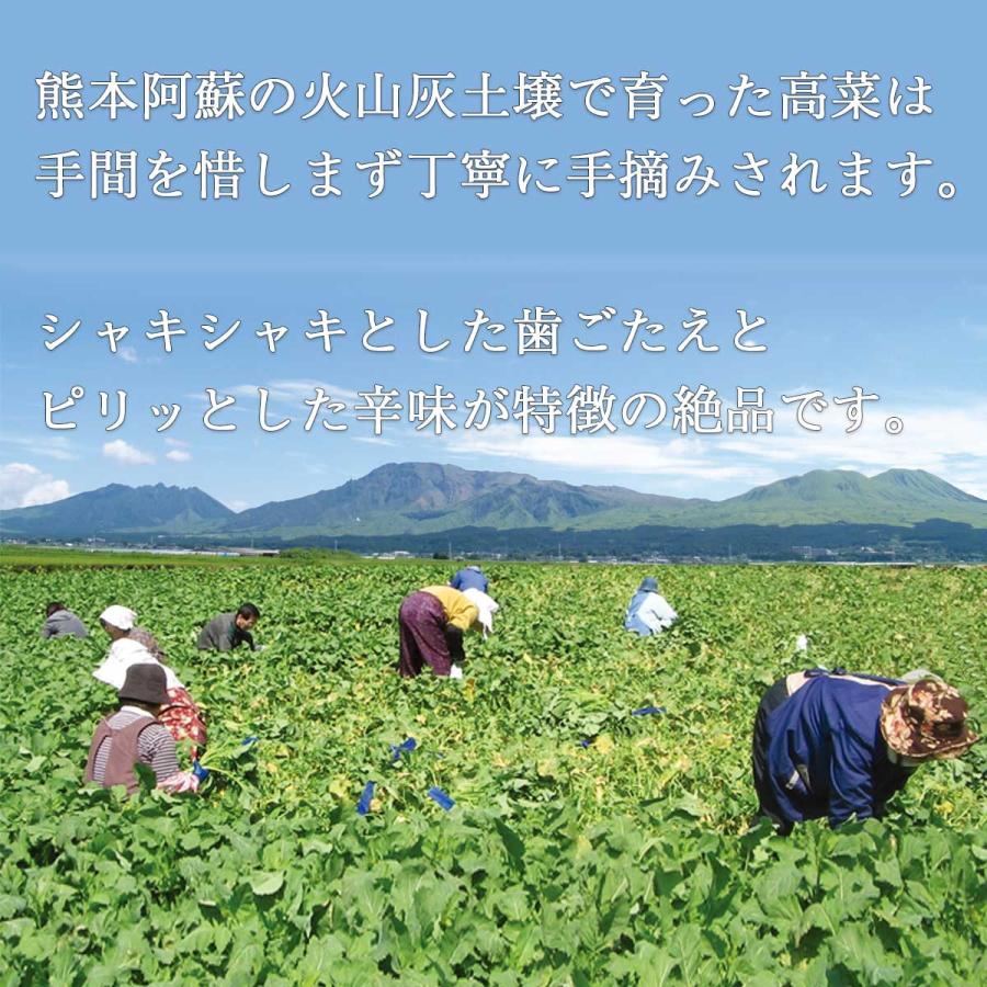 熊本 高菜のしょうゆ漬け くまモン からし高菜 ごま高菜 めんたい高菜 F046 くまプラザyahoo 店 通販 Yahoo ショッピング