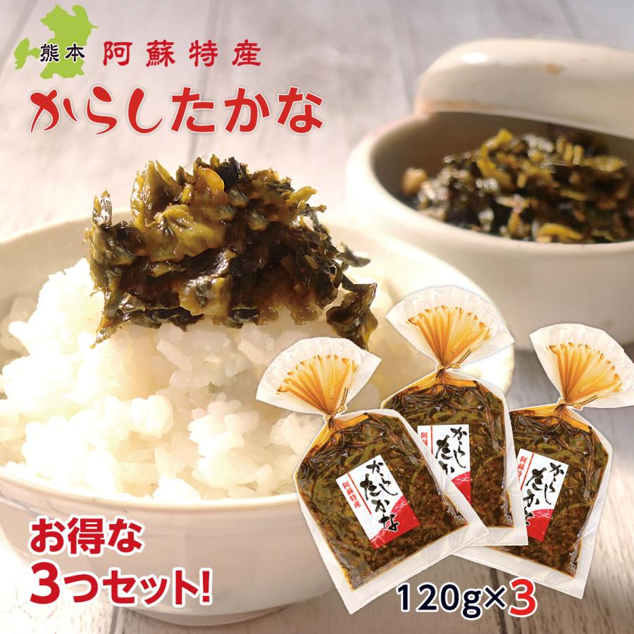 高菜 からしたかな 高菜漬け 150g 3袋 熊本 漬物 お取り寄せ F081x3 くまプラザyahoo 店 通販 Yahoo ショッピング